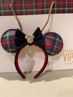 Disneyland VIP Tours Minnie Ears